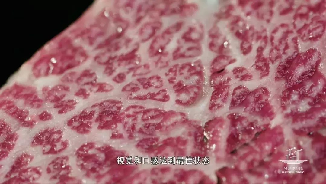 潮州山哥豆腐_潮汕山哥美食豆浆_潮州山哥豆腐鱼视频